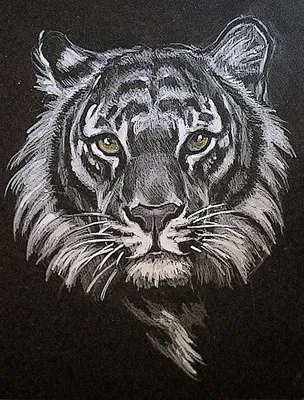 Картинка с оскаленным тигром, аватар красиво нарисованного тигра в профиль  — Аватары и картинки | Животные, Тигр, Кошки
