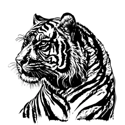 Нарисованный тигр цветными карандашами - 93 фото