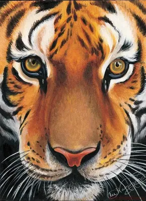 Нарисованные тигры синего цвета, …» — создано в Шедевруме