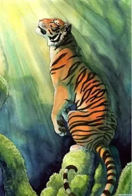 Нарисованная красота. Тигры » uCrazy.ru - Источник Хорошего Настроения