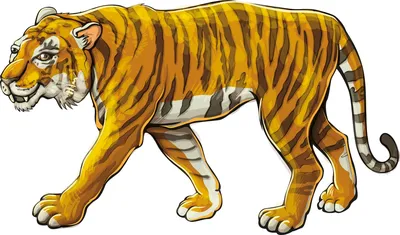 Тигр картинки для детей нарисованные