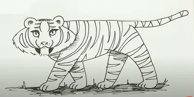 Рисунки тигра для срисовки (100 фото)