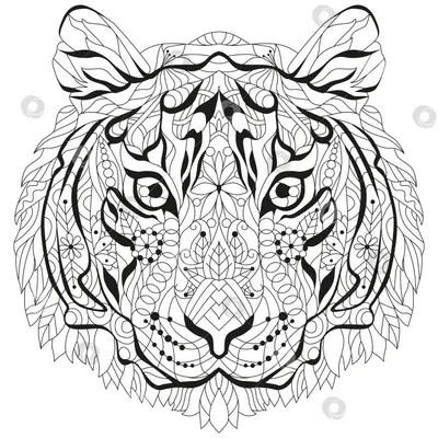 Как нарисовать тигра: 16 интересных способов - Лайфхакер