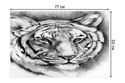 Чехол Нарисованный тигр для iPhone 6 купить за 219 грн в Украине: быстрая  доставка, гарантия качества