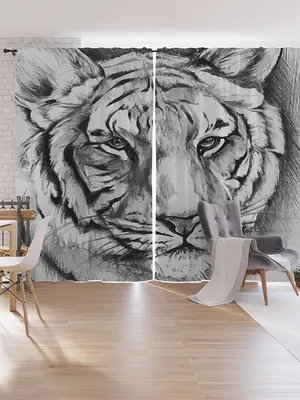 Tiger Lion Garanimals, милый маленький тигр, ребенок, млекопитающее,  нарисованный png | Klipartz