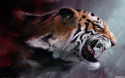иллюстрация, нарисованная вручную тигром, иллюстрация вектора головы.  большой дикий кот. сибирский тигр Amur Tiger Bengal Tiger ло Иллюстрация  вектора - иллюстрации насчитывающей развилки, талисман: 233626324