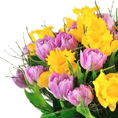 Купить букет из тюльпанов и нарциссов с бесплатной доставкой по Москве |  Butik-Flowers