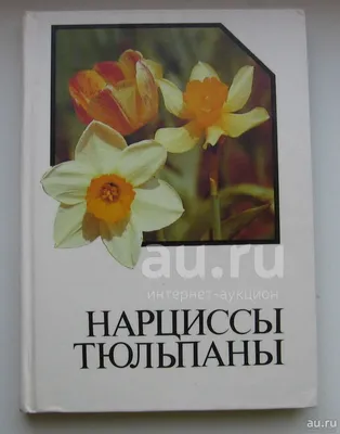 Нарциссы. Тюльпаны: Альбом-справочник — купить в Красноярске. Состояние:  Б/у. Сад, огород, цветы на интернет-аукционе Au.ru