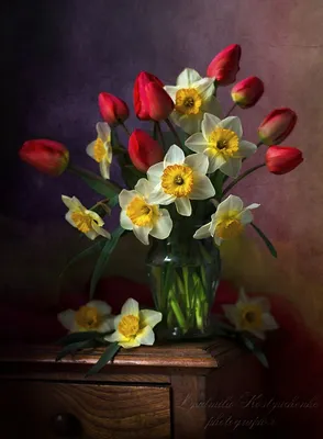 Нарциссы с тюльпанами — Fokart.net