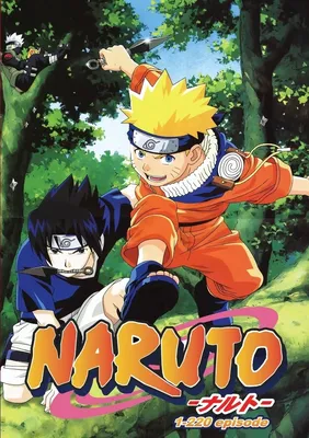 Naruto Shippuden: Collection 1 (DVD) - Walmart.com
