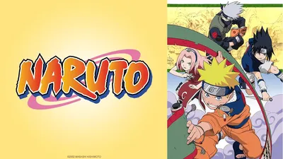 Warner Brother Naruto Set 1 (Blu-ray) - Walmart.com