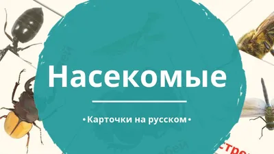 Памятка для родителей \"Осторожно насекомые\" — Детский сад №220 ОАО РЖД