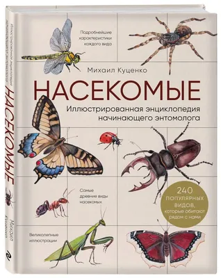 Насекомые. Детская энциклопедия школьника 7 лет РОСМЭН 2243835 купить за  314 ₽ в интернет-магазине Wildberries