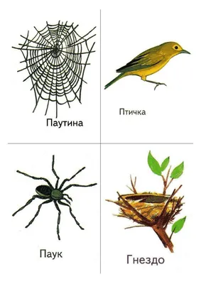 Наклейки на стену в виде мультяшных животных, насекомых, фруктов, лесная  тема, декоративные наклейки для школы, детского сада, подарок для детей,  «сделай сам», Детский день | AliExpress