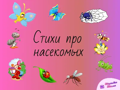 Играем до школы: Дидактическая игра для детей - На полянке | Игры для детей,  Для детей, Дети