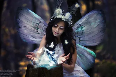 10 интересных фактов о феях, которые вы не знали