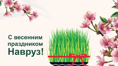 Красиво с Праздником Новруз Байрам🌹Праздник Навруз Новруз Navruz  ayyomin... | Праздник, Открытки, Цитаты