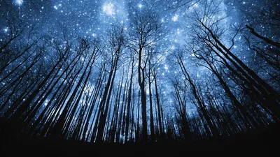 Скачать 938x1668 звездное небо, ночь, звезды, блеск, ночное небо обои,  картинки iphone 8/7/6s/6 for parallax