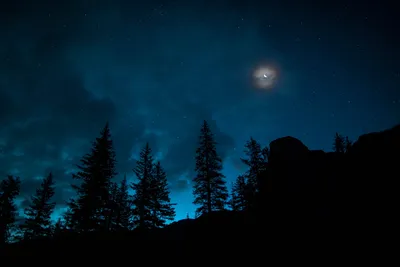 Звездное небо ночью реально» — создано в Шедевруме