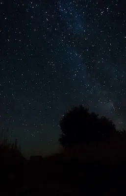 В небе над Краснодарским краем ночью пролетели спутники Илона Маска
