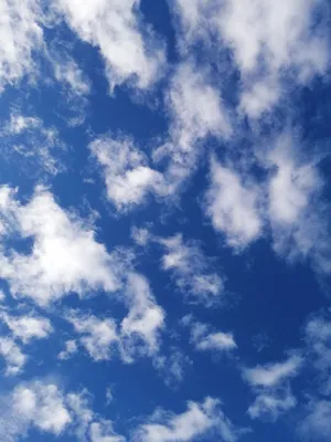 Небо цвета марганцовки: над Литвой заметили редкое явление - 29.10.2021,  Sputnik Литва
