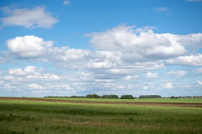 Лучшие фото (100 000+) по запросу «Облачное Небо» · Скачивайте совершенно  бесплатно · Стоковые фото Pexels