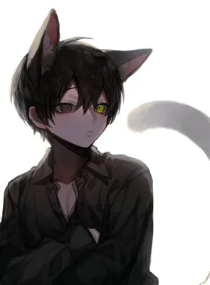 Pin by Neil on ponn_mame | Anime cat boy, Cute anime character, Kawaii  anime girl