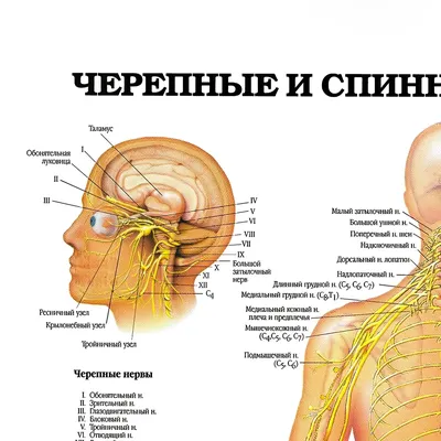 Нервы» сняли остросюжетный мини-фильм на песню «Так как надо» • ТНТ MUSIC —  Здесь твоя музыка