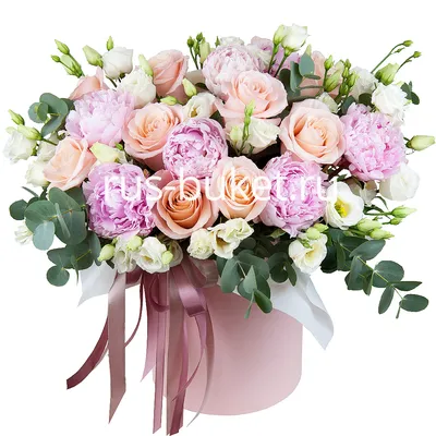 Жозефина: нежно-розовые пионы в шляпной коробке по цене 11245 ₽ - купить в  RoseMarkt с доставкой по Санкт-Петербургу