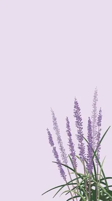 Цветы, фон, фиолетовый фон, нежные цветы, васильки | Landscape wallpaper,  Mobile wallpaper, Simple wallpapers