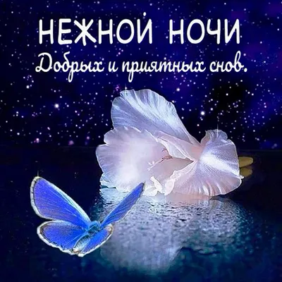 Гармония - 💖💖💖 ДОБРОЙ НОЧИ, ДРУЗЬЯ!!! НЕЖНЫХ,СЛАДКИХ... | Facebook