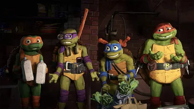 Фигурка Черепашки ниндзя Донателло TMNT подвижная с оружием 13 см - купить  в Москве, цены на Мегамаркет