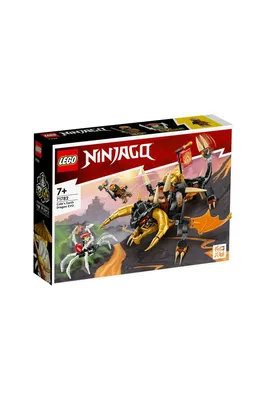 Плакат \"Ниндзяго, Лего, Ninjago\", 60×41см (ID#1602062099), цена: 190 ₴,  купить на Prom.ua