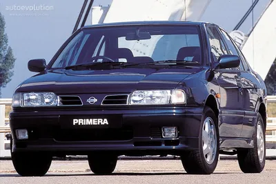 File:Nissan Primera P10 Invitation.JPG - Simple English Wikipedia, the free  encyclopedia