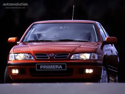 Not Quite A Classic: Nissan Primera | Autocar