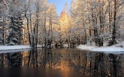 Обои november in missouri Природа Деревья, обои для рабочего стола,  фотографии november, in, missouri, природа, деревья, парк, осень Обои для  рабочего стола, скачать обои картинки заставки на рабочий стол.