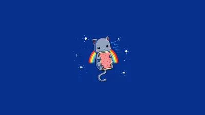 Nyan Cat Pin – SPYSCAPE