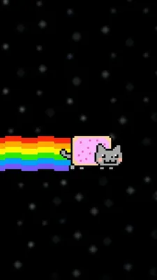 Funny Nyan Cat HD Wallpaper