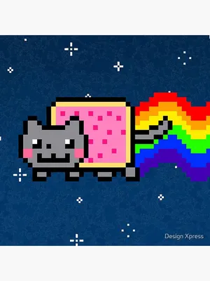 Nyan Cat Doodle | Foundation