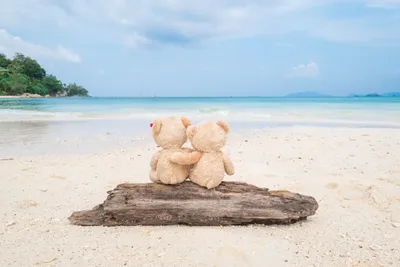 Фото пляжа Море Любовь Объятие Природа Мишки 2560x1706