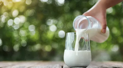 О пользе молоке, или Урок правильного питания