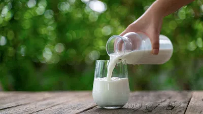 Вред и польза молочных продуктов: противоречивые исследования