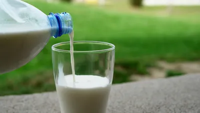 Польза и вред молока для организма женщин, мужчин и детей