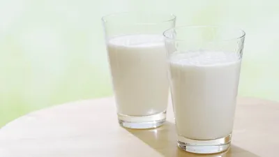 Как Кур`ан описывает образование коровьего молока? | muslim.kz