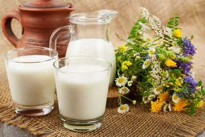 Полезные свойства молока для организма человека