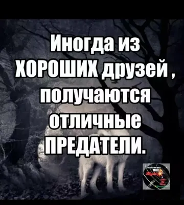 Иллюстрация 16 из 21 для Предательство по любви - Энн Перри | Лабиринт -  книги. Источник: Дробинина Ольга