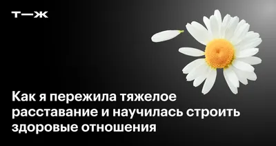 Палата мер и весов: после расставания с девушкой парень обнаружил в