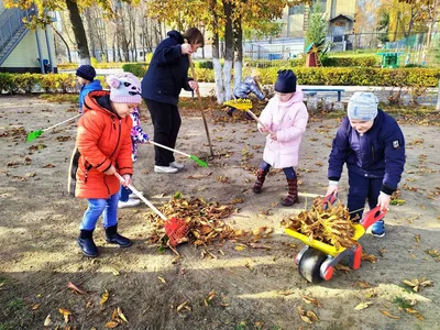 ТРУДОВОЕ ВОСПИТАНИЕ В СЕМЬЕ