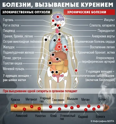 Вред курения на организм человека - Санаторий для детей с родителями