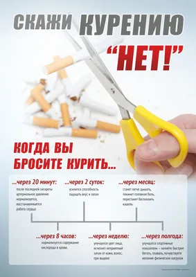 Плакат о вреде курения (А2) (420х594; Пластик ПВХ 4 мм, ПЭТ, алюминиевый  профиль; ) купить в Москве, цены | Артикул ГАС-ПЛГ36-420х594-МТ155 –  «ГАСЗНАК»